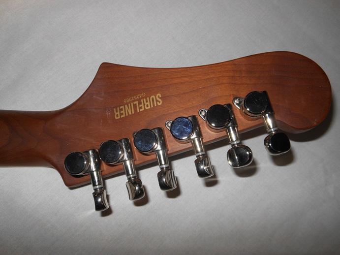 Surfliner Deluxe Picture 4